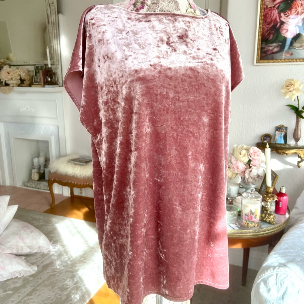 Vince Camaro Velvet Style Pink Women's Top L